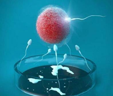 42岁成功案例